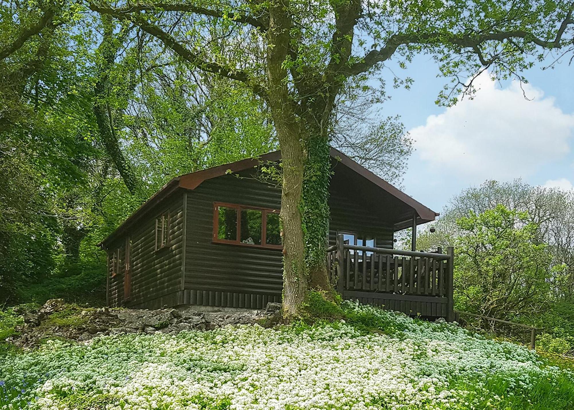 Готель Garnffrwd Park Llanddarog Номер фото