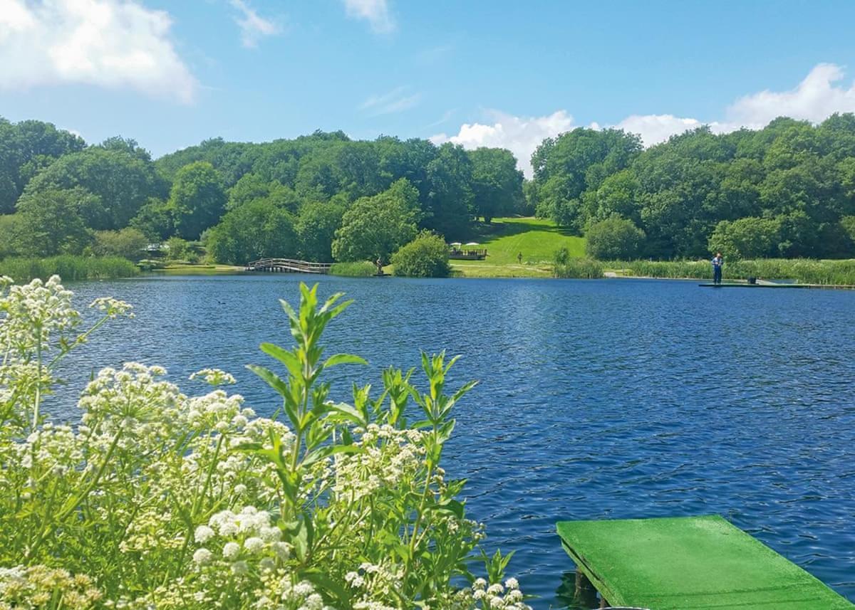 Готель Garnffrwd Park Llanddarog Екстер'єр фото