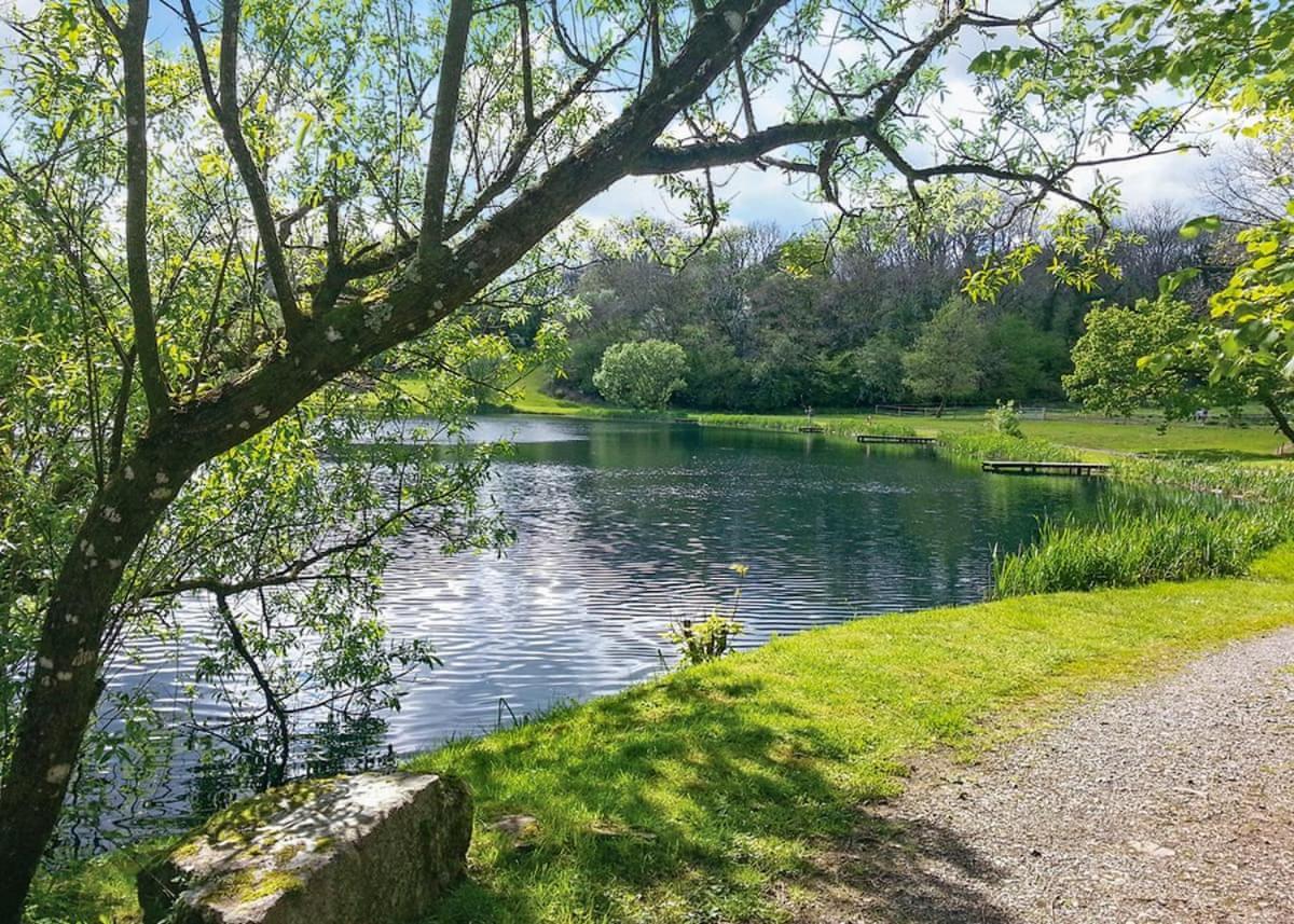 Готель Garnffrwd Park Llanddarog Екстер'єр фото